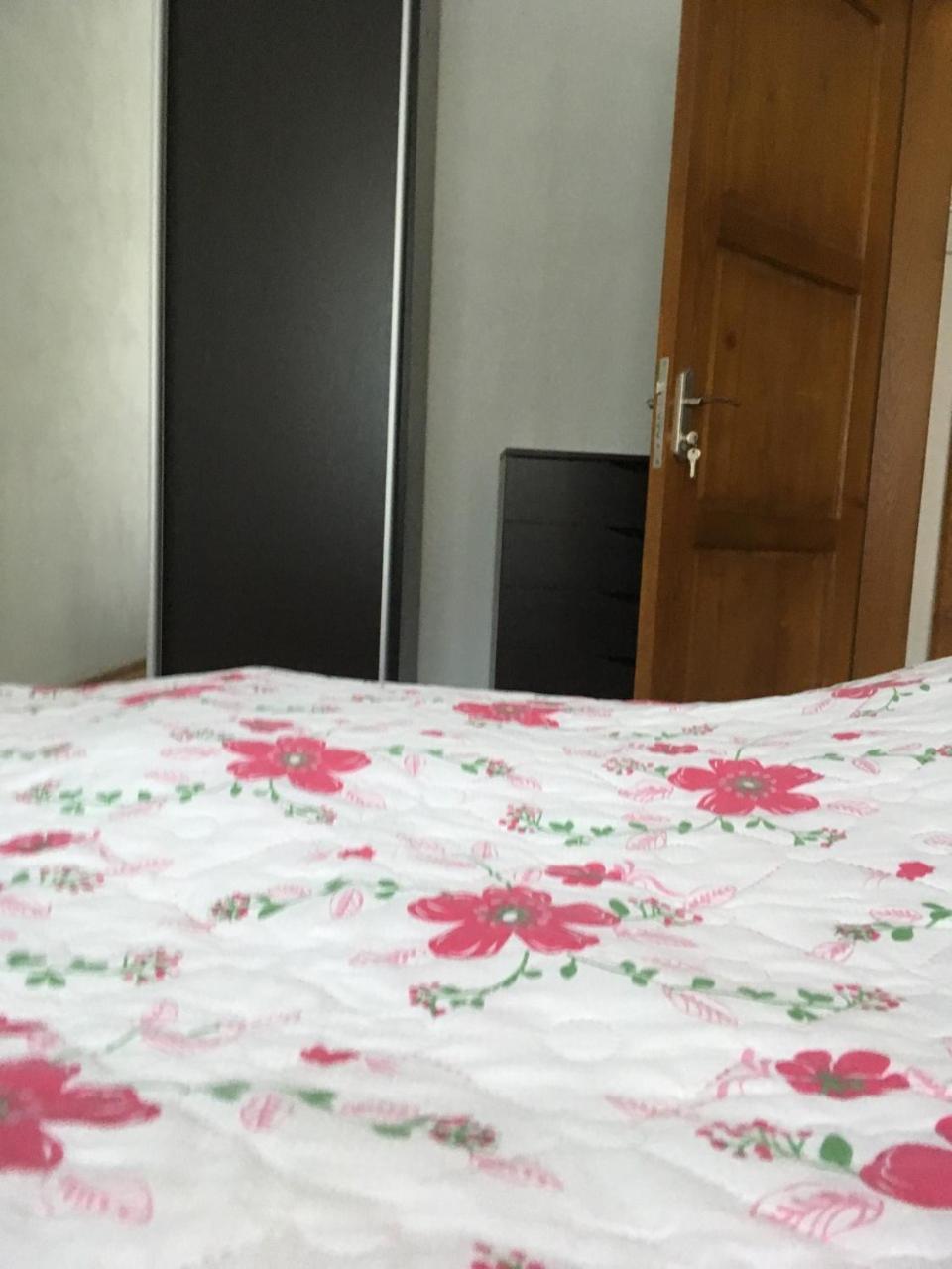 Apartaments In Karpaty Mizhhirya  Luaran gambar