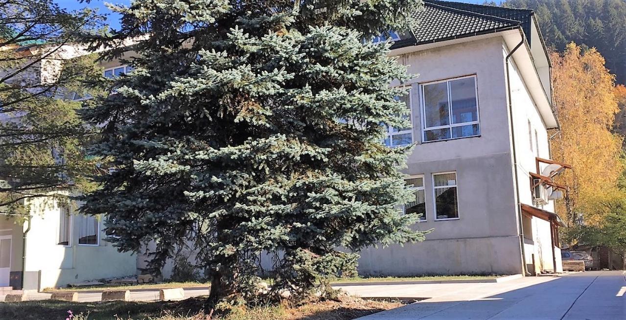 Apartaments In Karpaty Mizhhirya  Luaran gambar
